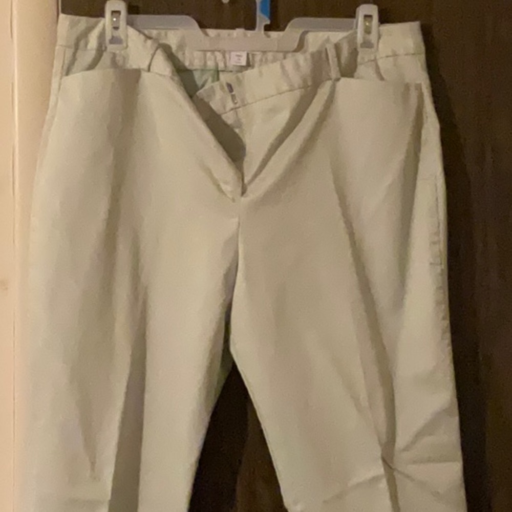 Light green, ankle pants, shirt 2X-2 pcs